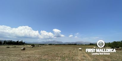 Immobilien picture 6 Ref. Nr. 79889