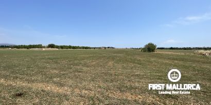 Immobilien picture 7 Ref. Nr. 79889