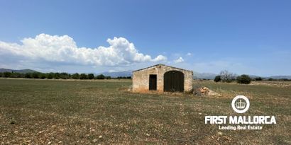 Immobilien picture 1 Ref. Nr. 79889