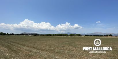 Immobilien picture 5 Ref. Nr. 79889