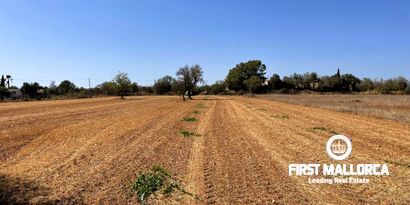 Inmobiliaria picture 1 Ref. Nº. 80049