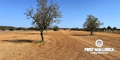 Inmobiliaria picture 0 Ref. Nº. 80049