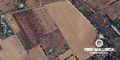 Inmobiliaria picture 3 Ref. Nº. 80049