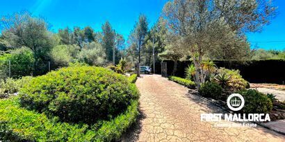 Inmobiliaria picture 15 Ref. Nº. 79701