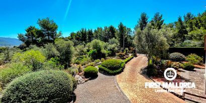 Inmobiliaria picture 6 Ref. Nº. 79701