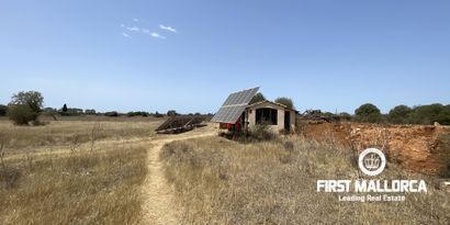 Immobilien picture 29 Ref. Nr. 79859