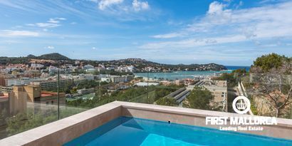 Inmobiliaria picture 0 Ref. Nº. 75956