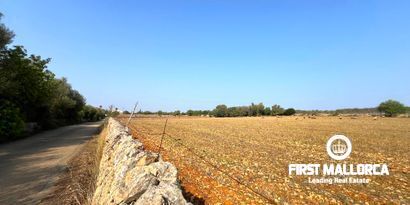 Immobilien picture 1 Ref. Nr. 80222