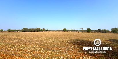 Immobilien picture 4 Ref. Nr. 80222