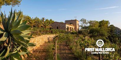 Inmobiliaria picture 5 Ref. Nº. 80053