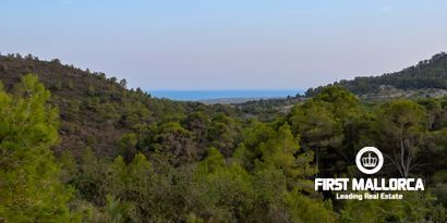 Inmobiliaria picture 9 Ref. Nº. 80053