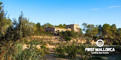 Inmobiliaria picture 4 Ref. Nº. 80053