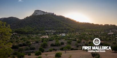 Inmobiliaria picture 10 Ref. Nº. 80053