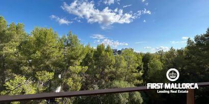 Immobilien picture 4 Ref. Nr. 79749