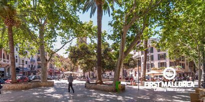 Inmobiliaria picture 20 Ref. Nº. R11740