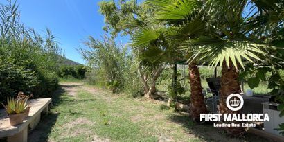 Real Estates picture 26 Ref. R26293