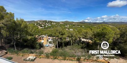 Real Estates picture 5 Ref. Nr. 80267