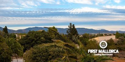 Immobilien picture 9 Ref. Nr. 80251