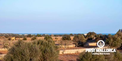 Недвижимость picture 20 Ref 80239