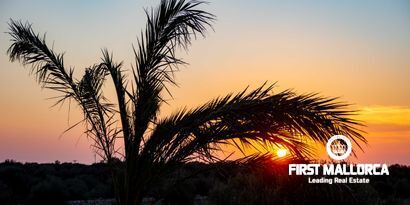 Недвижимость picture 52 Ref 80239