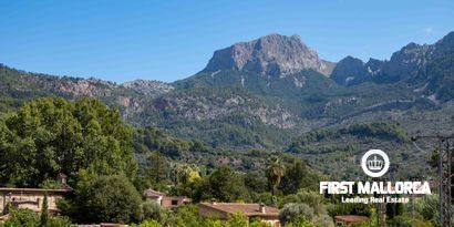 Inmobiliaria picture 5 Ref. Nº. 80269