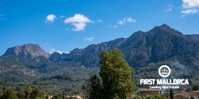 Inmobiliaria picture 28 Ref. Nº. 80269