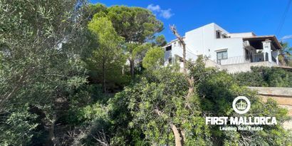 Immobilien picture 3 Ref. Nr. 80368