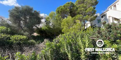 Immobilien picture 2 Ref. Nr. 80368