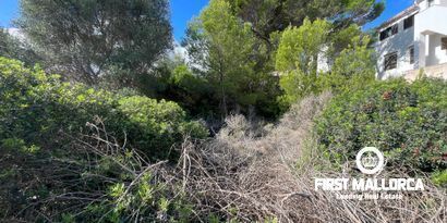 Immobilien picture 1 Ref. Nr. 80368