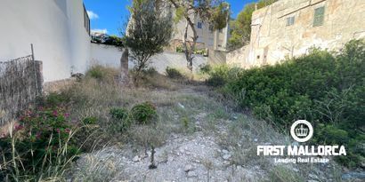Immobilien picture 0 Ref. Nr. 80355