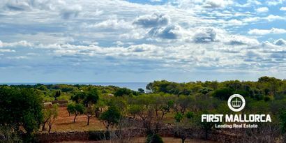 Real Estates picture 31 Ref. Nr. R25171