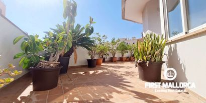 Real Estates picture 3 Ref. R26402