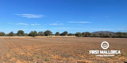 Immobilien picture 1 Ref. Nr. 80367