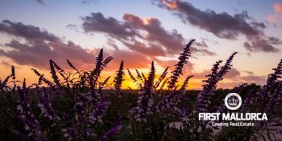 Real Estates picture 31 Ref. Nr. R24852