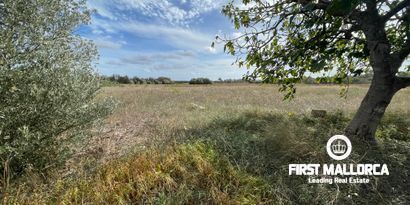 Immobilien picture 7 Ref. Nr. 80510