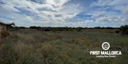 Immobilien picture 15 Ref. Nr. 80510