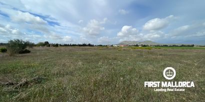 Immobilien picture 16 Ref. Nr. 80510