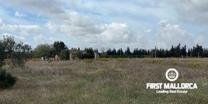 Immobilien picture 18 Ref. Nr. 80510