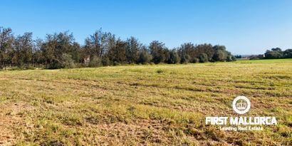 Immobilien picture 5 Ref. Nr. 80510