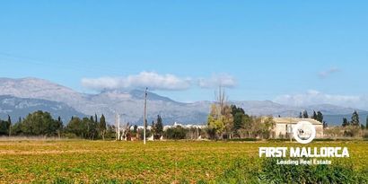 Immobilien picture 3 Ref. Nr. 80510