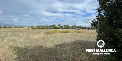 Immobilien picture 19 Ref. Nr. 80510