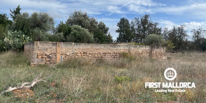Immobilien picture 10 Ref. Nr. 80510
