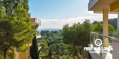 Real Estates picture 13 Ref. Nr. 80459