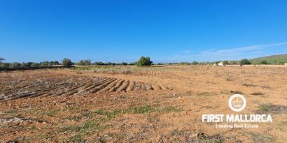 Недвижимость picture 6 Ref 80382