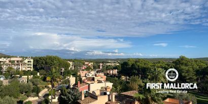 Inmobiliaria picture 17 Ref. Nº. 80566