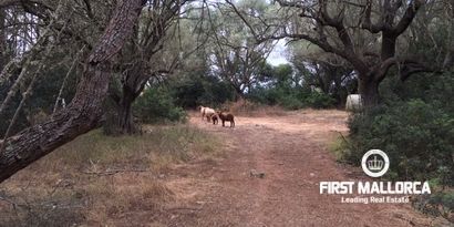 Inmobiliaria picture 7 Ref. Nº. 80515