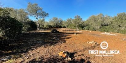 Inmobiliaria picture 3 Ref. Nº. 80515