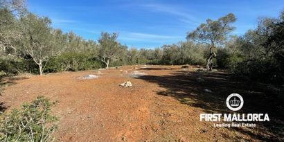 Inmobiliaria picture 2 Ref. Nº. 80515