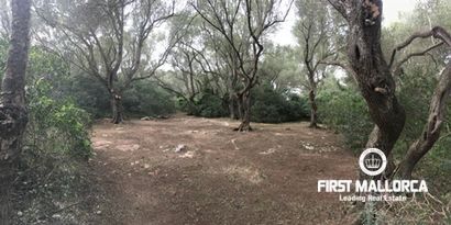 Inmobiliaria picture 8 Ref. Nº. 80515