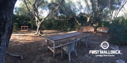 Inmobiliaria picture 6 Ref. Nº. 80515